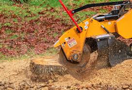 Leaf Removal in Keeler Farm, NM