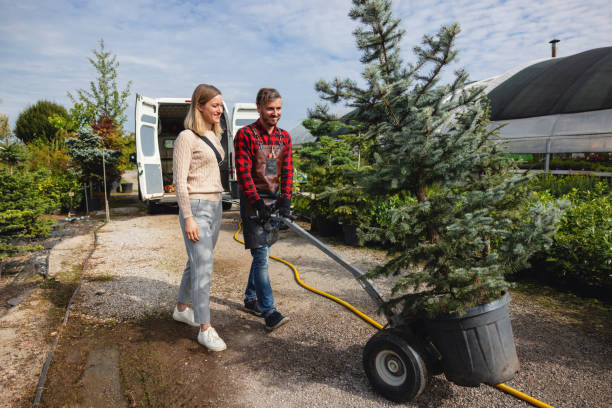 Best Lawn Renovation and Restoration  in Keeler Farm, NM